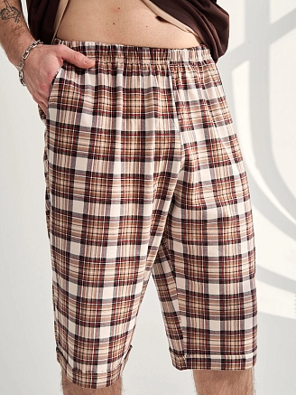 Мужской комплект "Пальма" (бриджи) 2456-К / Коричневый