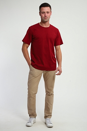 Мужская футболка Березка / Чёрный на винном