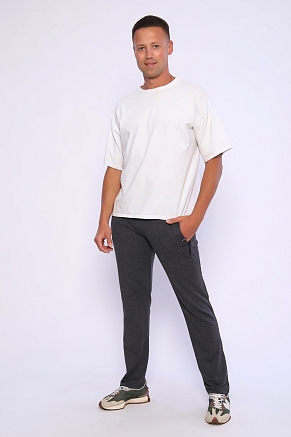 Брюки мужские 22231 / антрацит