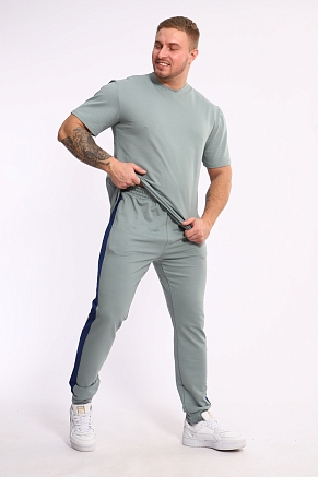 Мужской костюм 35282 / полынь