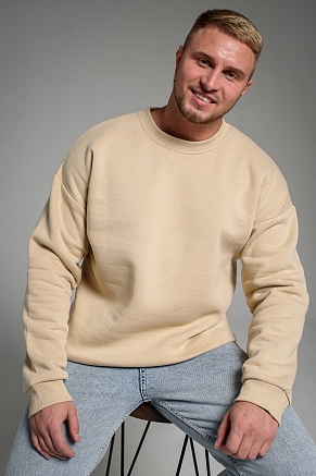 Мужской свитшот 14421 / бежевый