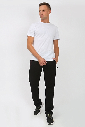 Брюки мужские 22231 / черный