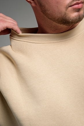 Мужской свитшот 14421 / бежевый