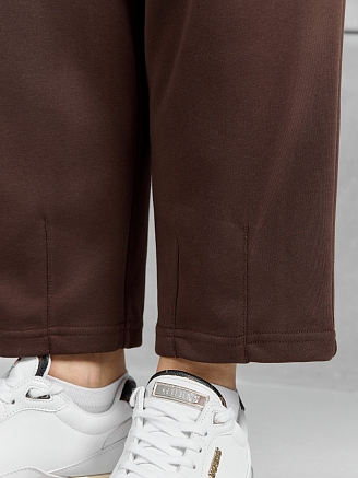 Женские брюки Авенсис-3 / коричневый