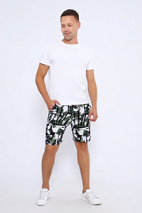 Мужские шорты 36829 / зеленый