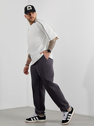 Мужские брюки Интер-3 / графитовый