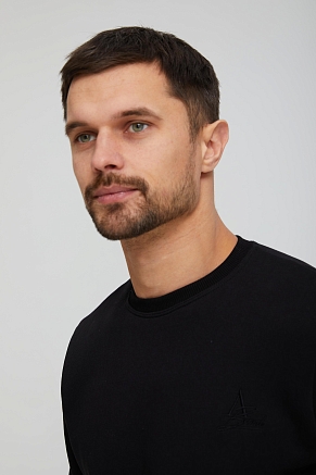 Толстовка мужская Бронд Ч Арт. 10620