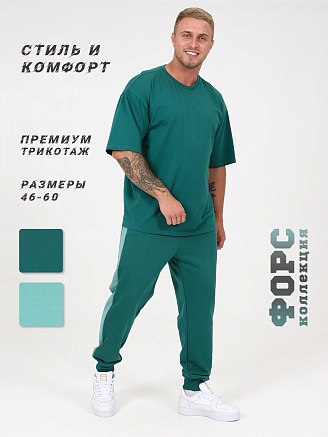 Мужские брюки Хонест / петроль