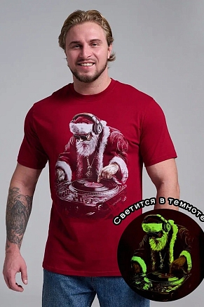 Мужская футболка 8581 / бордо+диско дедМ