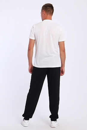 Мужские брюки 36822 / черный