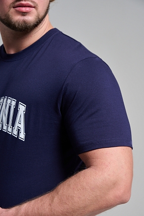 Мужская футболка 8503/1 / темно-синий+Москва