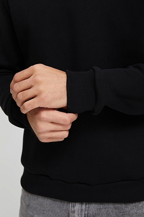 Толстовка мужская Бронд Ч Арт. 10620