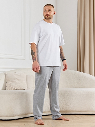 Брюки мужские Тор-4.2 / серый меланж