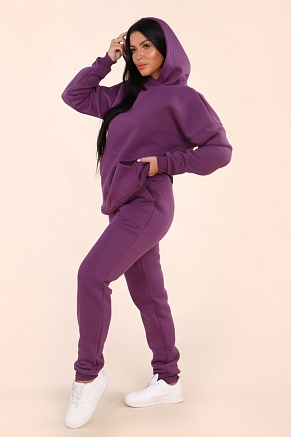 Женский костюм 399 / Ежевичный