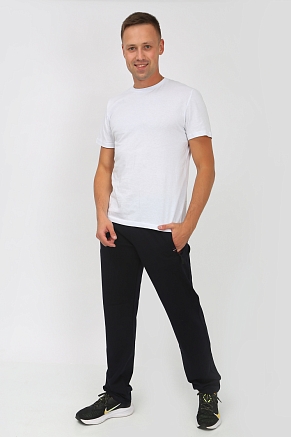 Брюки мужские 22231 / темно-синий