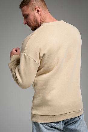 Мужской свитшот 14421 / бежевый