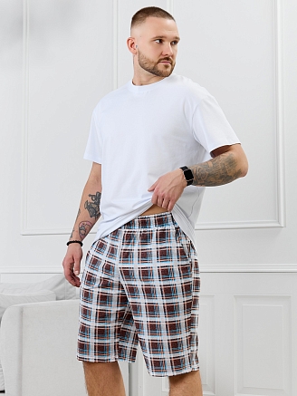 Мужские шорты Тор-2.1 / клетка разноцветная