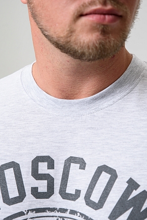 Мужская футболка 8503/1 / серый+Москва