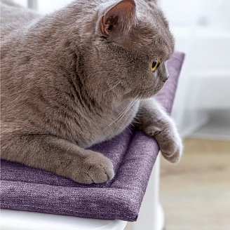 Подушка для стула рогожка "Волшебная Ночь" 40/40 / Аметист