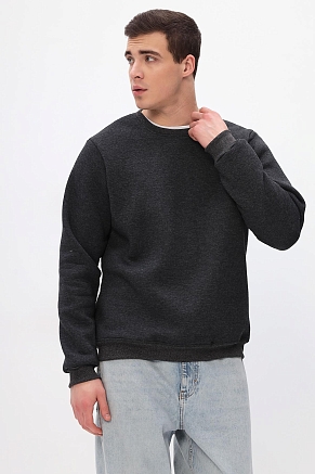 Толстовка мужская Бронд Г Арт. 10622