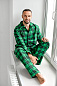 Мужская пижама "Фланель" 85-Ф / Зеленый