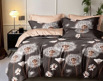 Постельное белье поплин Эксклюзив (молния) / Алинка