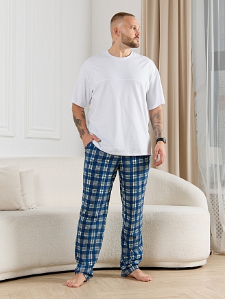 Брюки мужские Тор-1 / клетка синяя