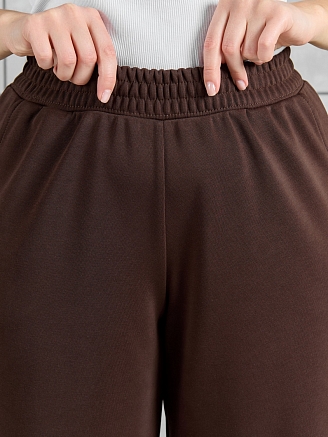 Женские брюки Авенсис-3 / коричневый