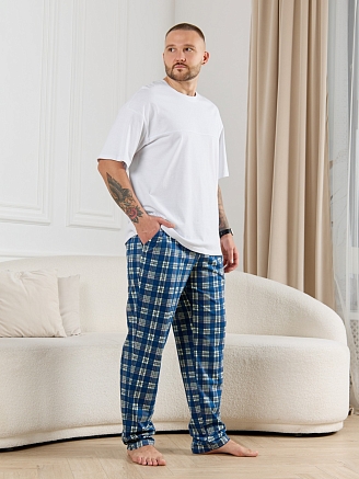 Брюки мужские Тор-1 / клетка синяя
