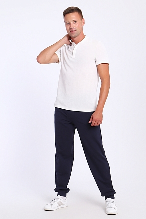 Мужские брюки 36822 / фумэ