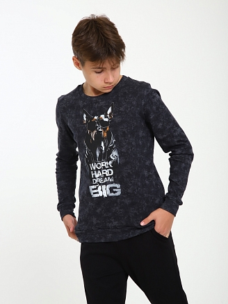 Детский свитшот "Мирон" / Графит