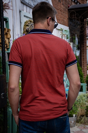 Мужская футболка 6781 / коричневый