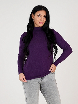 Женская водолазка ВВ-902 / Темно-фиолетовый