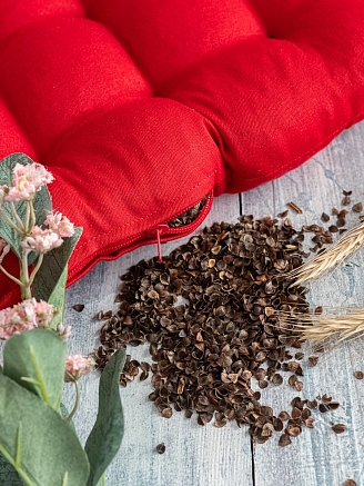 Подушка на стул с гречневой лузгой / Красный