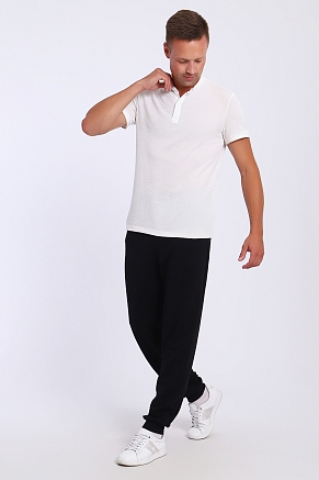 Мужские брюки 36822 / черный