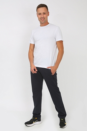 Брюки мужские 22231 / фумэ