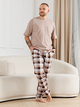 Брюки мужские Тор-1 / клетка коричневая