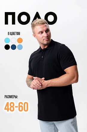 Футболка-поло мужская 14401 / черный