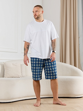 Шорты мужские Тор-2 / клетка синяя