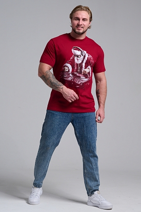 Мужская футболка 8581 / бордо+диско дедМ