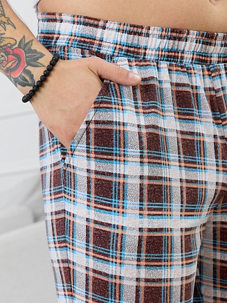 Мужские брюки Тор-1.1 / клетка разноцветная