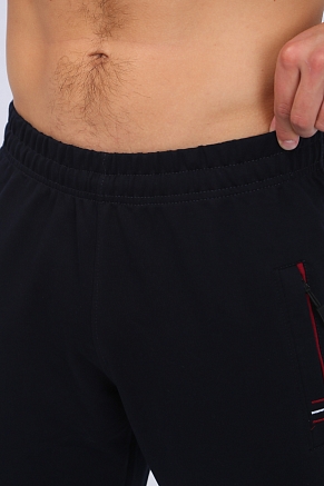 Брюки мужские 22231 / темно-синий