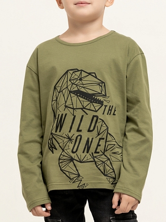 Детский лонгслив "Дино" / Хаки арт. дк69дх