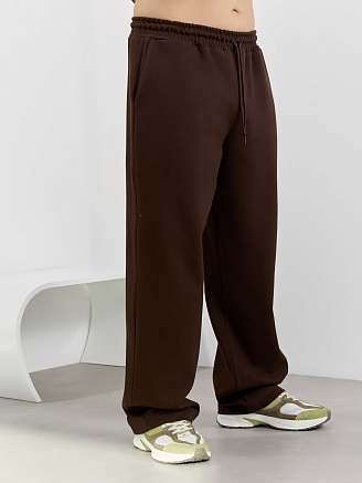 Мужские брюки Интер-2 / коричневый