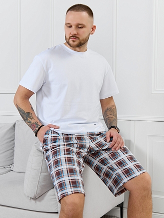 Мужские шорты Тор-2.1 / клетка разноцветная