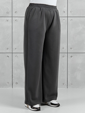 Женские брюки Авенсис-2 / графитовый