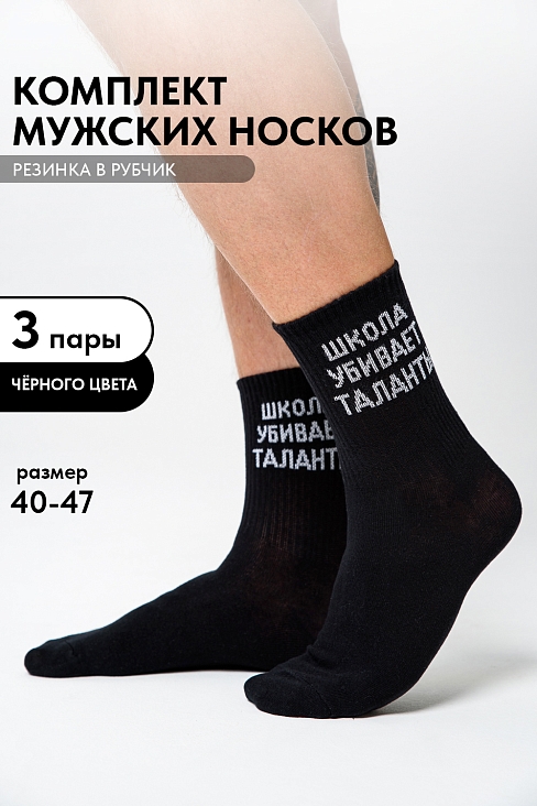 Носки мужские стандарт Талант (набор 3 пары) / черный