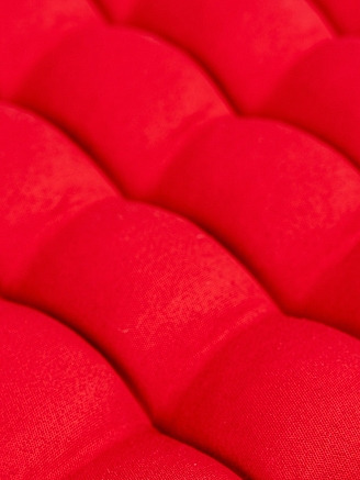 Подушка в автомобиль с гречневой лузгой арт. APG25 / Красный