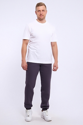 Мужские брюки джоггеры 169 / Серый