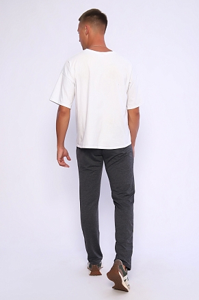 Брюки мужские 22231 / антрацит